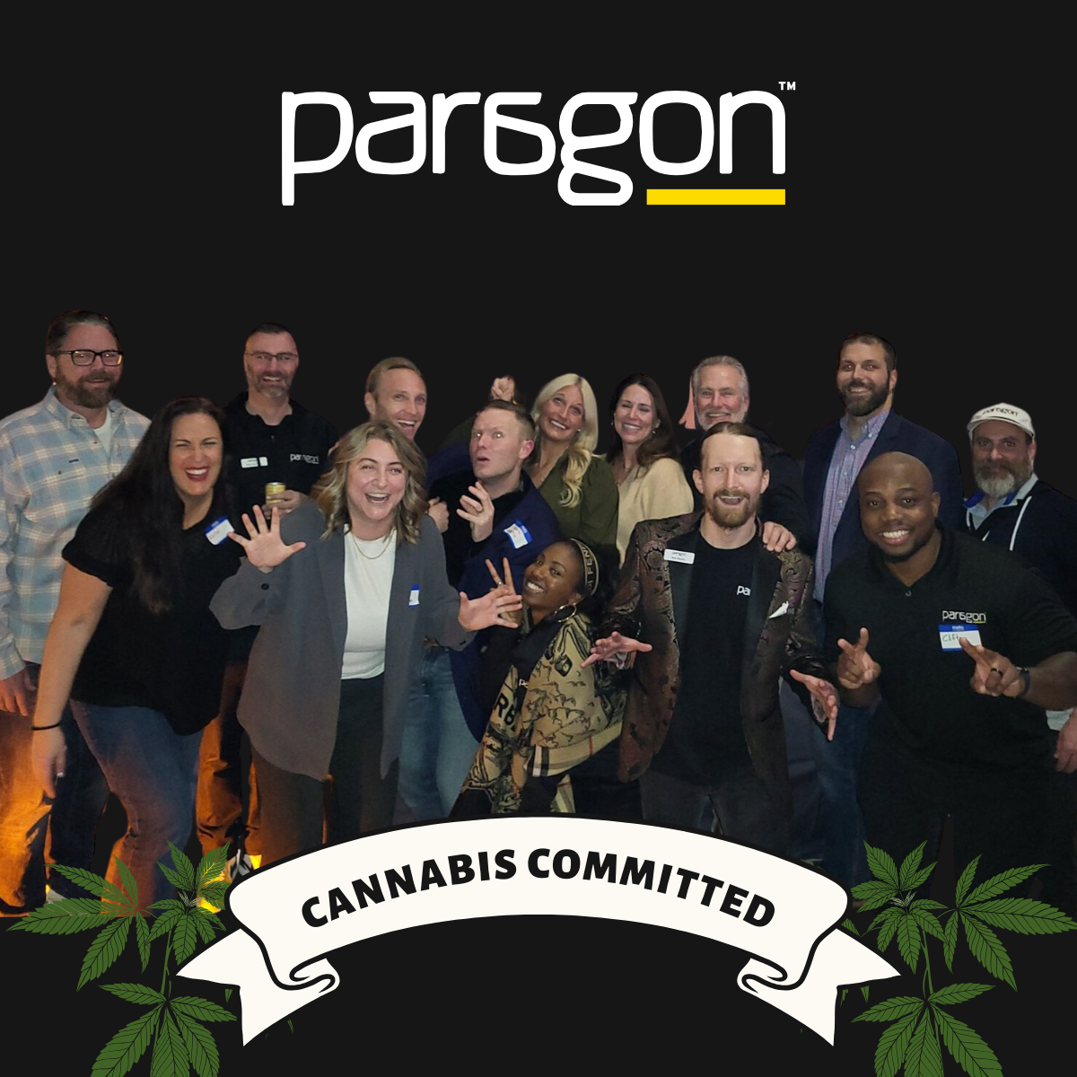 Cannabis Committed Team