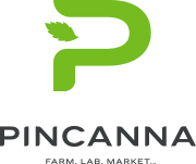 pincanna-cannabis